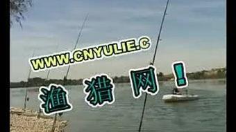 钓鱼爆料视频最新版,揭秘钓鱼技巧与陷阱 第2张 钓鱼爆料视频最新版,揭秘钓鱼技巧与陷阱 第2张